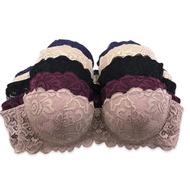 Sunny | Cup B Lace Balconette Bra | Size 34-40B 2936