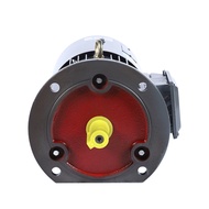 8 Level YVF Three-Phase Abnormal Step Motor 0.18kw-250kw Frequency Conversion Speed Regulating Motor