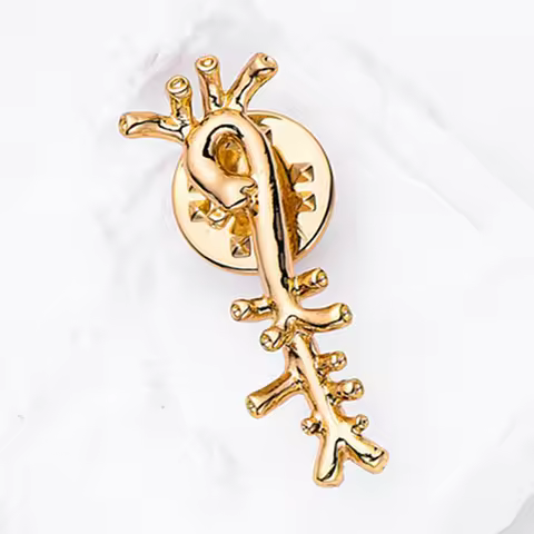 Catuni Aorta Anatomy Medicine Pin Brooch Medical Lapel Backpack Badge Accessories Jewelry for Doctor
