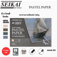 SEIKAI Chalk Paper​pastel​ pastel​ Paper​ Pad​ 350g​ Paper Artist Grade soft pastel/oil