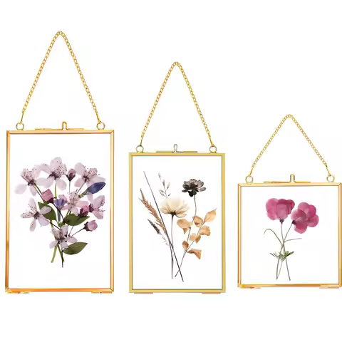 Hanging Pressed Flower Frames, Double Glass Floating Picture Frame Handmade, Glass Frame for Pressed