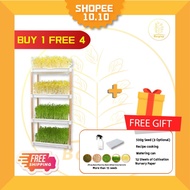 Hydroponic bean sprout pot Microgreen Tray/Sprout Plate/Seeding Tray/2tier or 4tier sprout tray