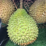 Durian musang king utuh fresh / durian enak malaysia