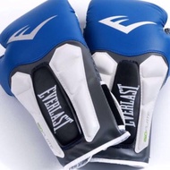 Everlast Boxing Gloves - Prime Special 2017 !