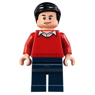 Original DC Super Heroes - Classic Dick Grayson 76052 Minifigure new