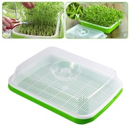 Sprouting Tray Double Layer Pea Mung Bean Peanut Wheat Hydroponic Sprout Plate Seedling Sprouter Cat Grass Soilless Planting Pot