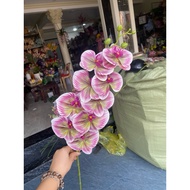 New 3D orchid model - brand flower warehouse