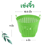 เข่งจิ๋ว (10.5นิ้ว) เข่งพลาสติก เข่งปลูกต้นไม้ เข่งผลไม้ เข่งกลม เข่งใส่ทุเรียน เข่งทุเรียน ตะกร้าพลาสติก ตะกร้า  หนา แข็งแรง