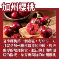 【免運商品】加州9.5R櫻桃2.5紅寶石飽滿爽脆多汁