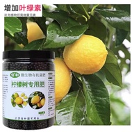 Lemon Tree Fertilizer Special Fertilizer Amino Acid Water Soluble Potted Plant Nutrition Fruit Tree Organic Compound F
