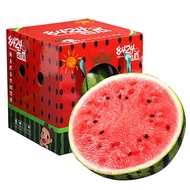 疆域采虹正宗8424麒麟大西瓜当季现摘爆甜新鲜水果西瓜生鲜整 1个装精选4-5斤 现摘现发