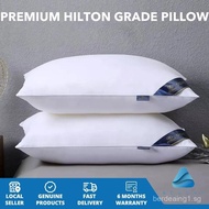 1kg Hilton Five Star Hotel Grade Pillow 11 Color Options Luxurious Ultimate Comfort 1000g