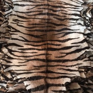 kulit kambing motif harimau Tiger macan loreng coklat leopard zebra chetah bahan tAS DOMPET karpet