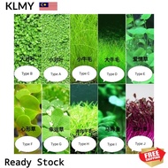 Aquarium Plant Seeds