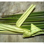 Daun palas | ketupat pulut