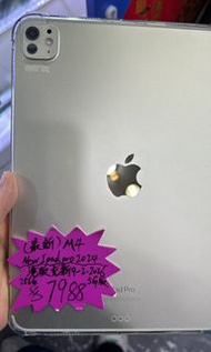 iPad Pro 11寸M4 WiFi +5G 256GB