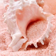 Himalayan Crystal Bath Salt - Pink - Fast Dissolving (Fine Grain) By The Spice Lab 1 Klio / 2.2 Pounds