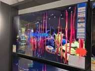 💥65吋QLED+ 特價$6800 頂級旗艦QLED型號 全新原裝  Skyworth 創維 65吋 65SUE8800 sue8800 65吋 4K 120Hz / 144Hz QLED Googl