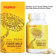 Tigerus Cendawan Susu Harimau Tiger Milk (JAGA system pernafasan-ASMA, BATUK, RESDUNG, PARU2, BRONKITIS) 60s, 300mg