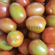 Tomat Apel/Buah Fresh 1 KG Murah