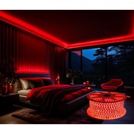MERAH LED Strip Light 5050 LED Rope/ Red Red 5050 IP44/