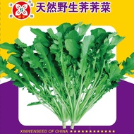 Seeds for Vegetable Seeds Scalloped Vegetables Scalloped Vegetables Seeds Small Vegetable Garden See