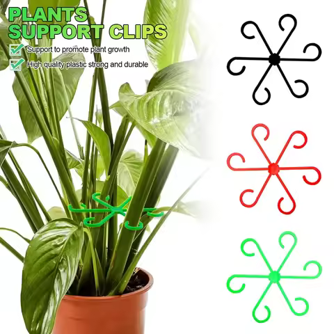 4PCS Stem Support Alocasia Monstera Leaf Supports 4Pcs Vine Support Clips For Climbing Plants To Gro