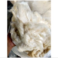 kekabu pokok@kekabu asli 1kg