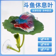 Aquarium Landscaping Leaves Rest Sleeping Betta Artificial Aquatic Plants Spawning Bed Lotus Leaves 