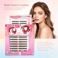 New DOROLAB Glue-Free False Lash Kit, Rosy LC Curl 12+13mm Lashes, Under-Eye Friendly, Antibacterial