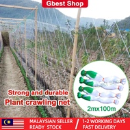 【Gbest】🔥Malaysia In Stock🔥  plant net trellis for climbing plants planting tool mesh netting flower crawling support gardening accessories agriculture tools garden tools nylon net for vegetable melon cucumber fruit vine ivy orchid