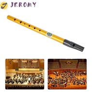 JEROMY Ireland Flute, Alloy Professional Irish Whistle Flute, Musical Accessories 6 Hole Gift Musica