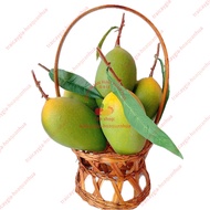 Fake fruit, 5 green sand mangoes, model fruit, fake fruit - home decoration