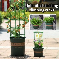 Household climbing vine frame Plant stand Support plants can flower stand indoor green plant pole /C