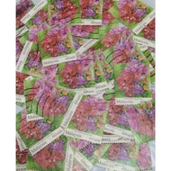 50 Pcs Used Setem/ Stamps 60 Sen Bunga Kertas Bougainvillea Siri Definitif Kebangsaan ke 6 Bunga Taman 2010 Collectibles