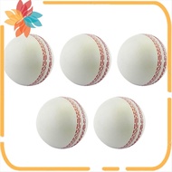 Sports Cricket, Training Cricket, Sports Wind Swing Rebound Cricket, Elastic Decompression Ball