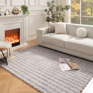 5x7 Ft Faux Fur Shag Area Rug, Soft Plush Fluffy Carpet For Living Room, Bedroom - Machine Washable 