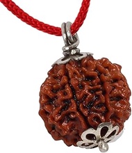 Green Velly Brown 6 Mukhi Nepali Rudraksha Mantra Siddha Pendant with Lab Report