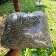 Timothy hay 1 kg oxbow - 1kg