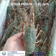 100%BERKUALITAS LOBSTER LAUT FROZEN 1Kg (Isi 7-10) Babby Lobster