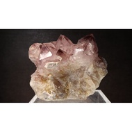Cactus Amethyst Cluster 22H20A 631.1g
