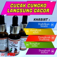 Cucak CUNGKO BIRD SICK CUNGKO BIOPRO POWER CUCAK CUNGKO JOS PROVEN HANDLING