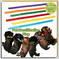 Newborn Pet Identification Ring Suede-Soft Safety Cat Dog Collar Puppy Identification Band