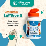Cat medicine for diarrhea Olive Care vitamins for cats with stomach diarrhea 1 CAPSULE