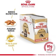 ready Royal Canin Adult Maine Coon Makanan Kucing Dewasa Maine Coon