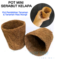 Pot Kecil serabut Kelapa Untuk Pembenihan Pembibitan Tanaman