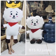 boneka rj standing doll jumbo jimin | rj | koya - rj putih