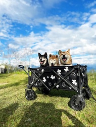 柴犬大學 柴犬越野版聚攏型露營推車 摺疊推車 手拉車 寵物推車