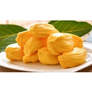 benih nangka madu / j33