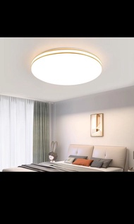 Led新穎吸頂燈新客廳燈具簡約現代雍眼睡房客餐廳陽台燈24W。直徑27cm